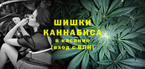 винт Надым