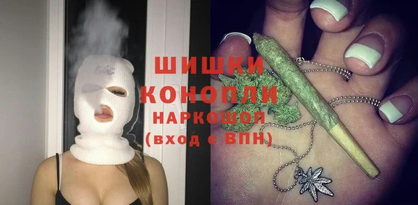 сатива Беслан