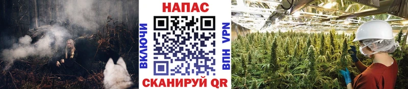 Шишки марихуана Ganja  Бакал 